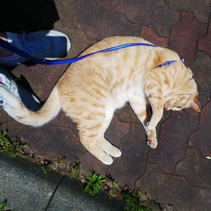 8f1d89e3 f665 4c82 b734 4c15ad23a932 1623221430720