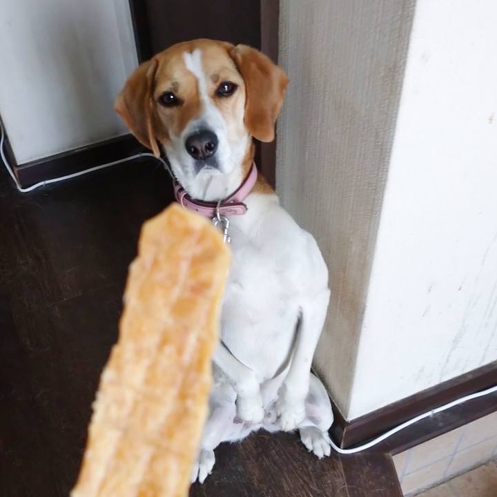 8f1dab93 07b5 4769 a3a4 ac0a1d4415ab 1590566755697