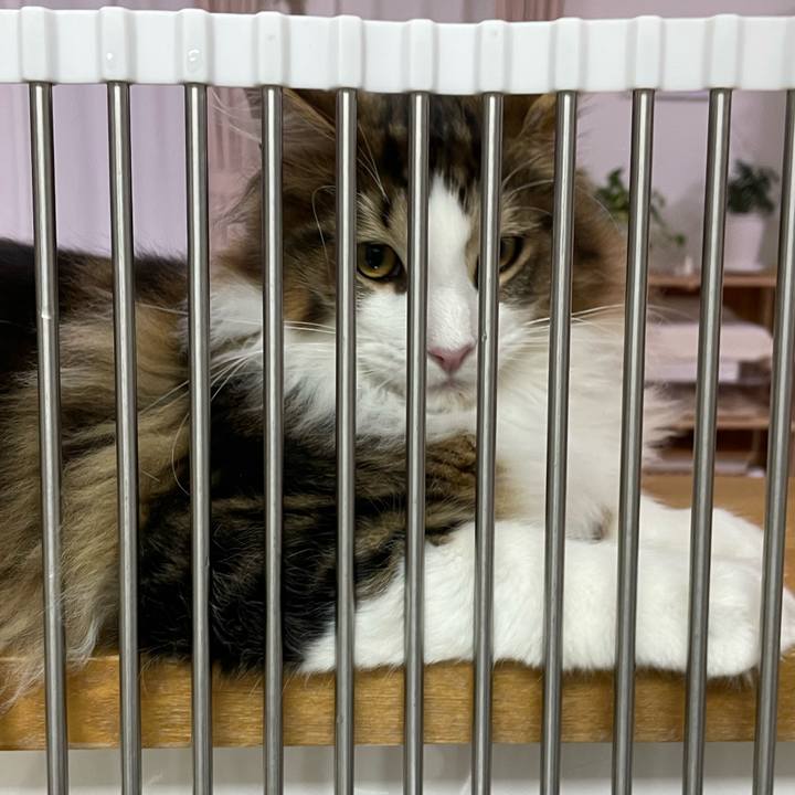 8f1dc7ea ae5a 4917 8cc7 d56dbe2e6217 1639040772630