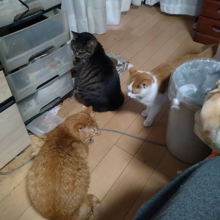 8f1dcee6 5cb0 4ccc bbaa 70df13e276ef 1738308841545