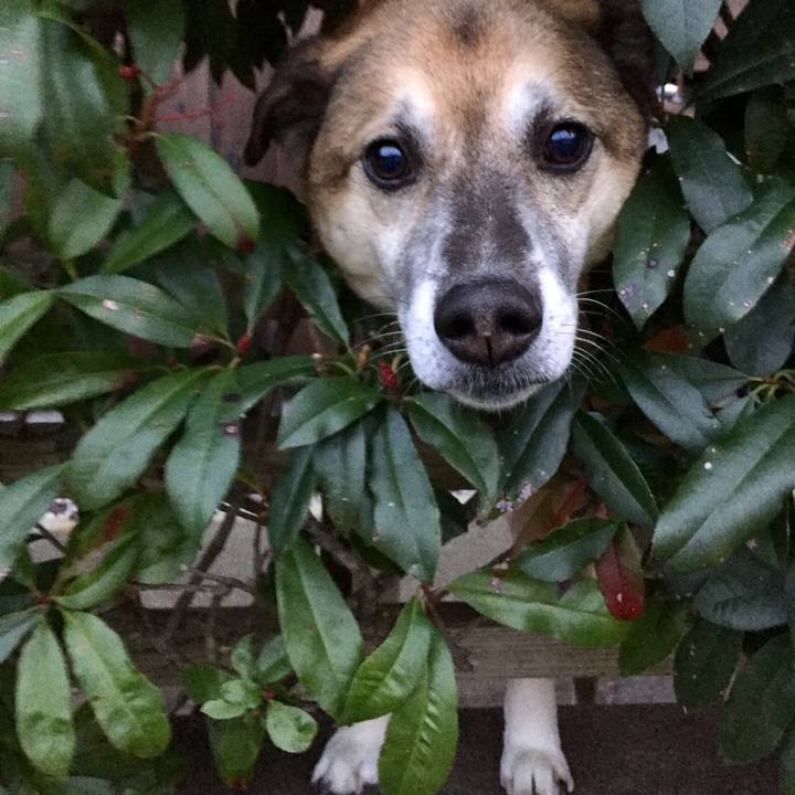 8f1e1bdc 203b 4779 92cd 2121c4cf7534 1577003705909