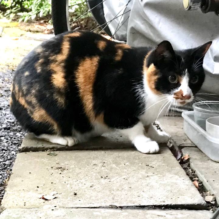 8f1e27ac 44f4 44b4 b2d5 9d97b2e9a79e 1510641972308