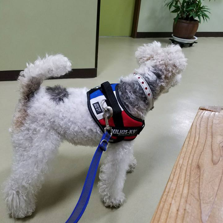 8f1e5d3e c63e 4cdb 8d6b c4c630f6cc0d 1509973152731