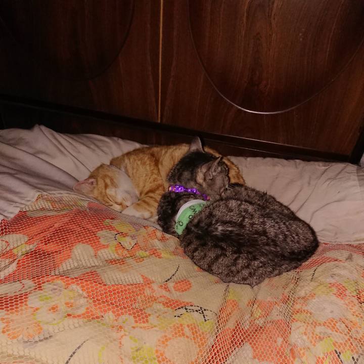 8f1e7010 3633 4cbe 98fd c7e18d6f9174 1587396960104