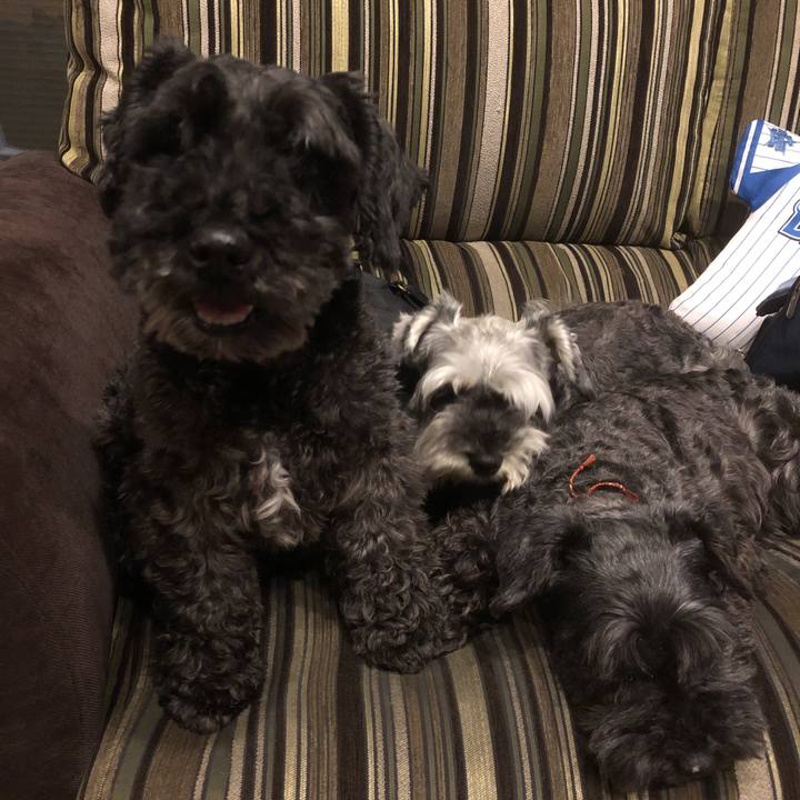 8f1e7025 1eef 4730 be96 274470dfb68c 1561556784018