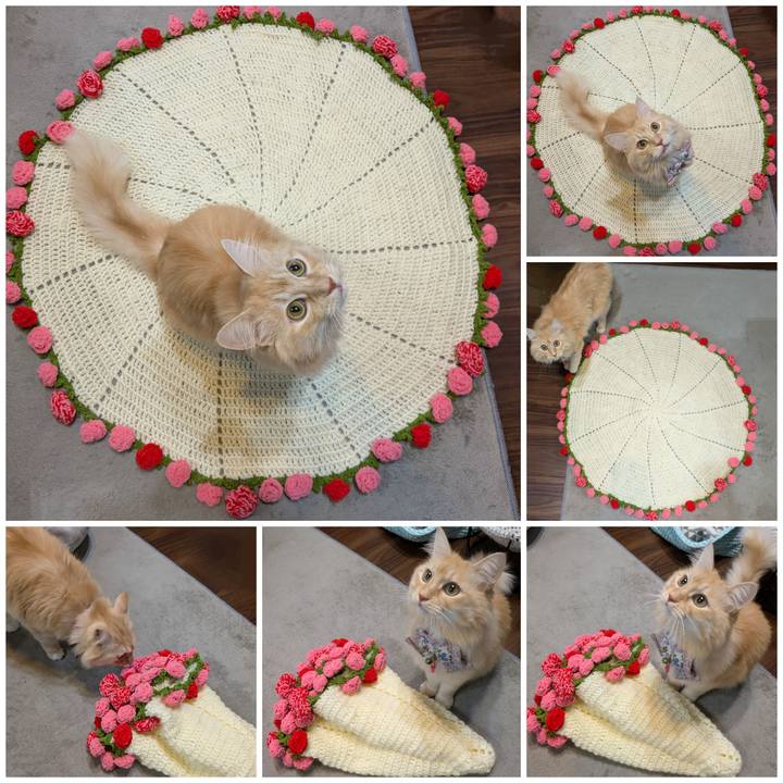 8f1e8de3 be00 4ab0 bf15 c63cab8a1e18 1762246917210