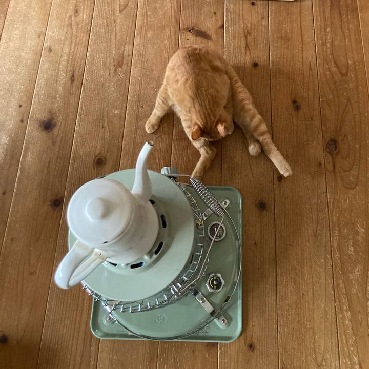 8f1ea6f1 008e 48e6 b89a 0bc3b7a89c35 1704673831355