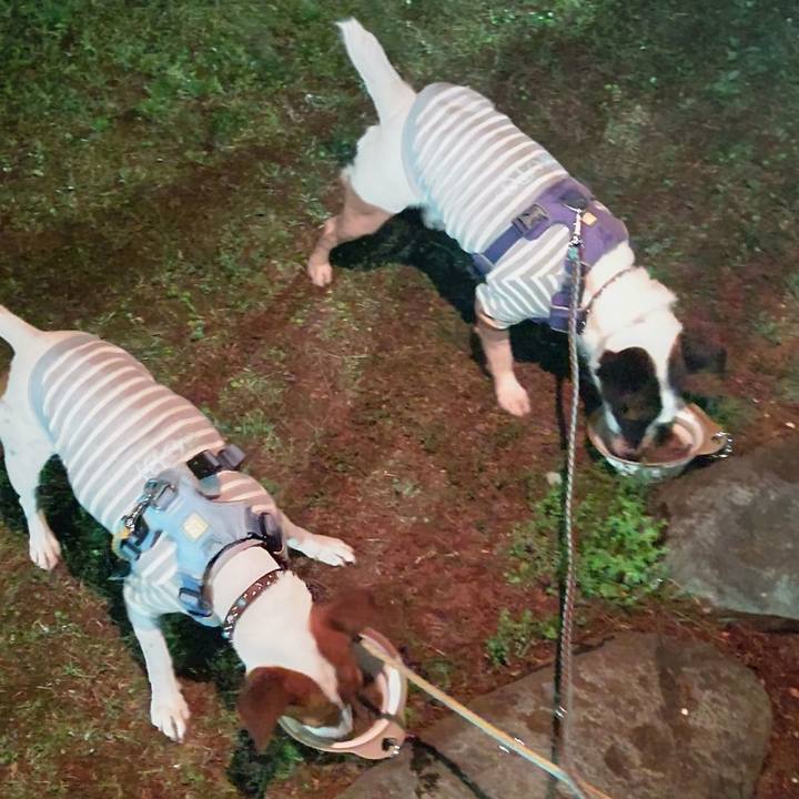 8f1eab7a e867 441c a0c6 c89cdc664bcb 1682174458940