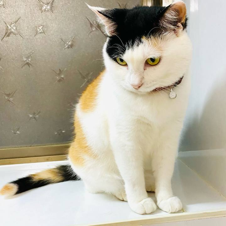 8f1eb393 556d 4153 b9b9 7ca9a63abfd4 1688732968930