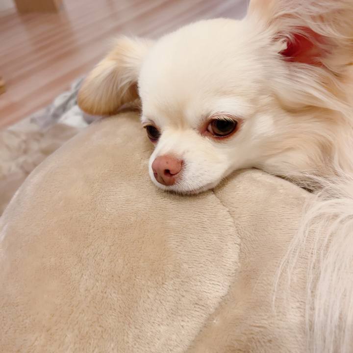 8f1eb99c 6052 4626 96d2 69ff5bb3aaa3 1713957307979