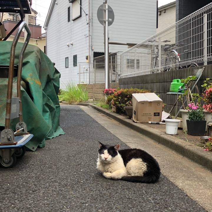 8f1ebc4d 69bc 4f33 be58 b63475a65c79 1656520408602