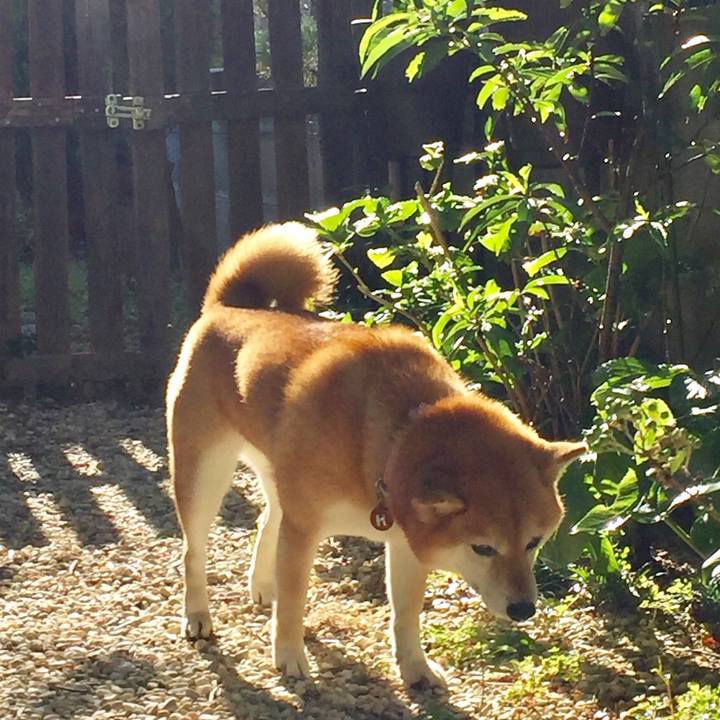 8f1ec7f1 2acf 4c73 ace2 2debc518a1be 1533689006984