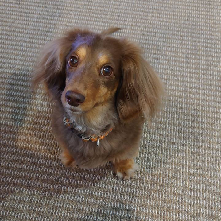 8f1f2d29 c60a 47a3 a8e9 063e8d2eb90f 1677042817340