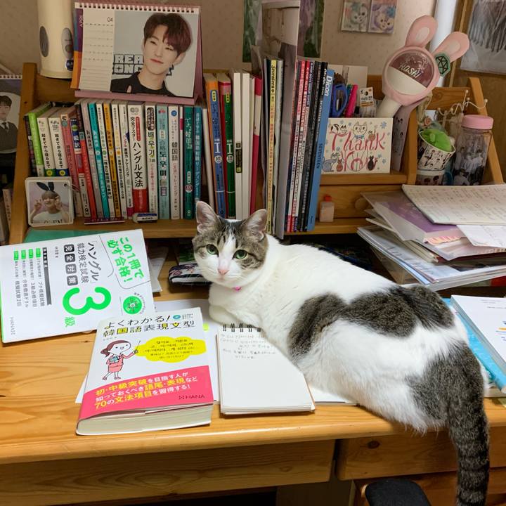 8f1f6483 735b 4f03 99f3 45ceed600fcc 1588190789724