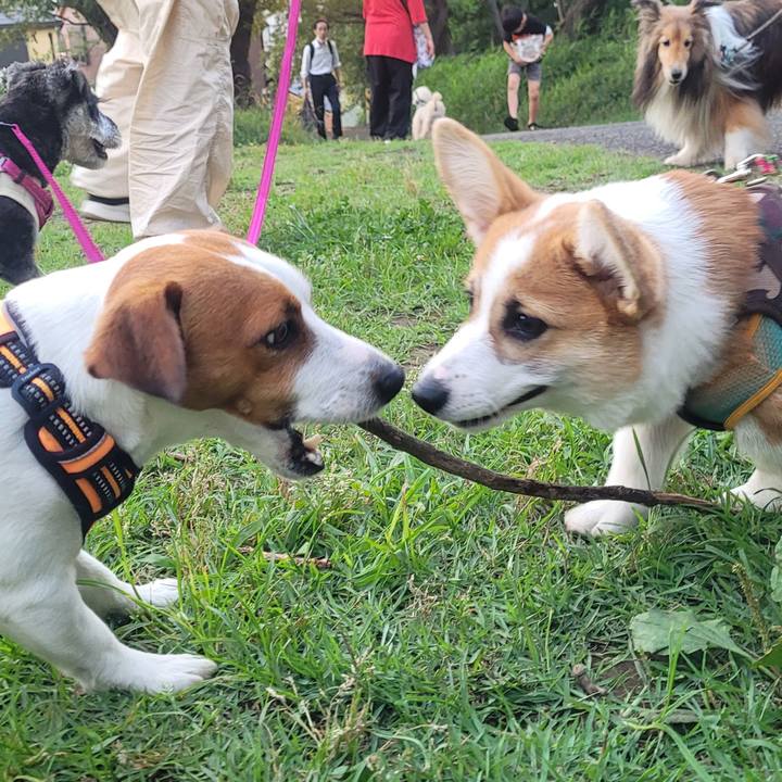 8f1f73c3 c399 45c2 964b c4cdb6728dbf 1687086946122