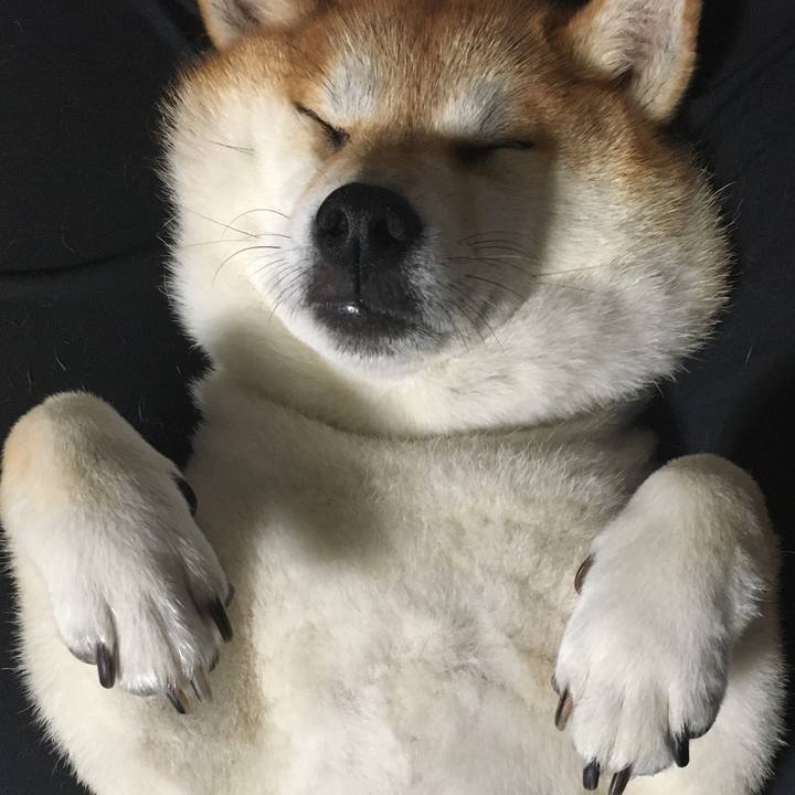 8f1fe93e 272d 45a3 86b8 9f59c8a3e549 1597922550764