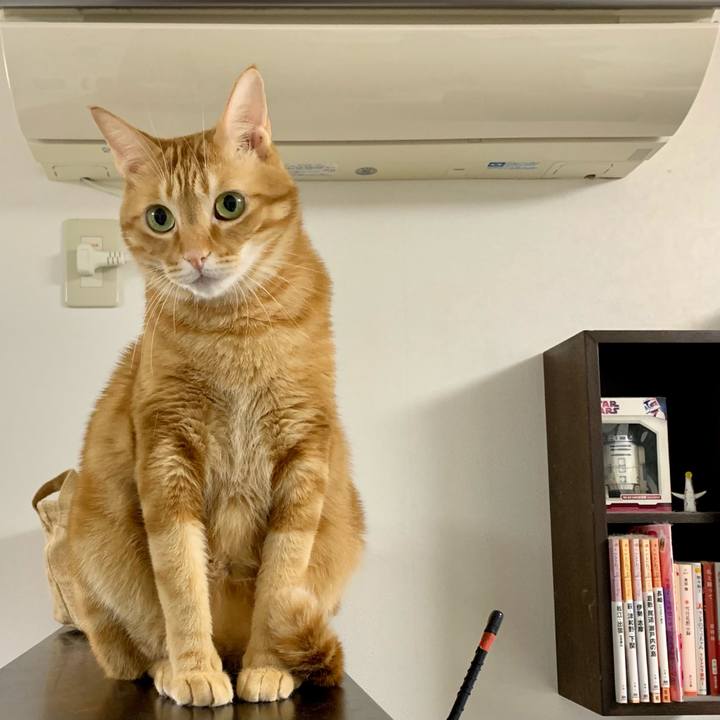 8f1feba4 a7b5 422a acd7 b58982165292 1611611443949