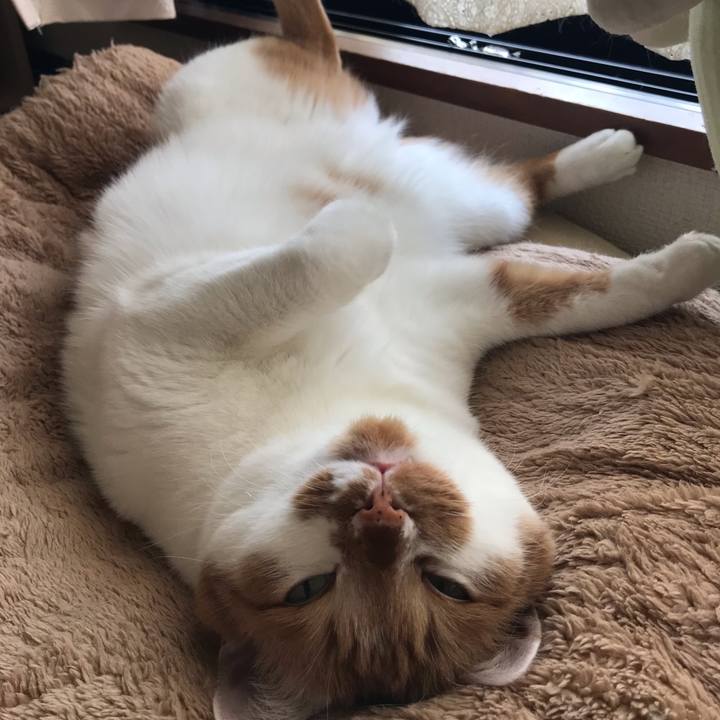 8f200f66 b319 4554 9378 56afd3b45739 1549761508740