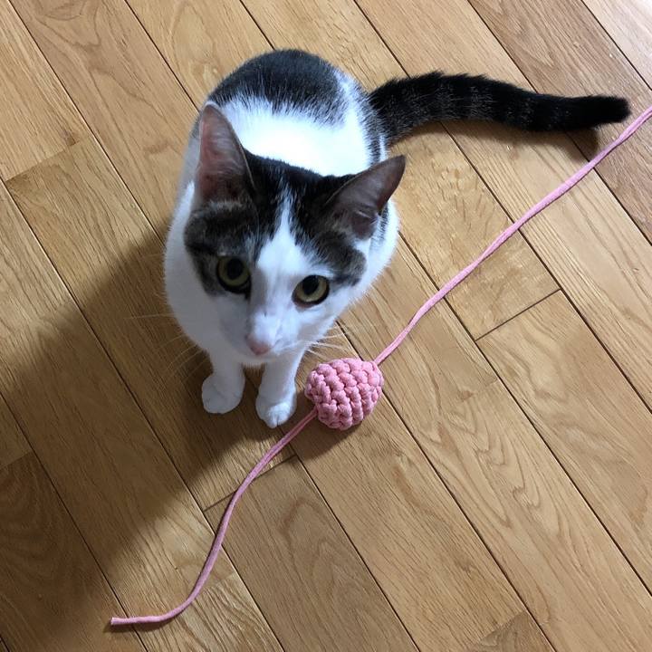 8f200ffb 5ec6 4f47 8ac7 14637a119627 1601470984902