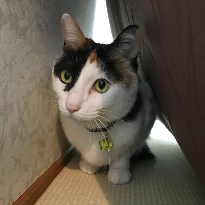 8f201e4f 5701 4630 ab98 e926163d20ea 1520473604250