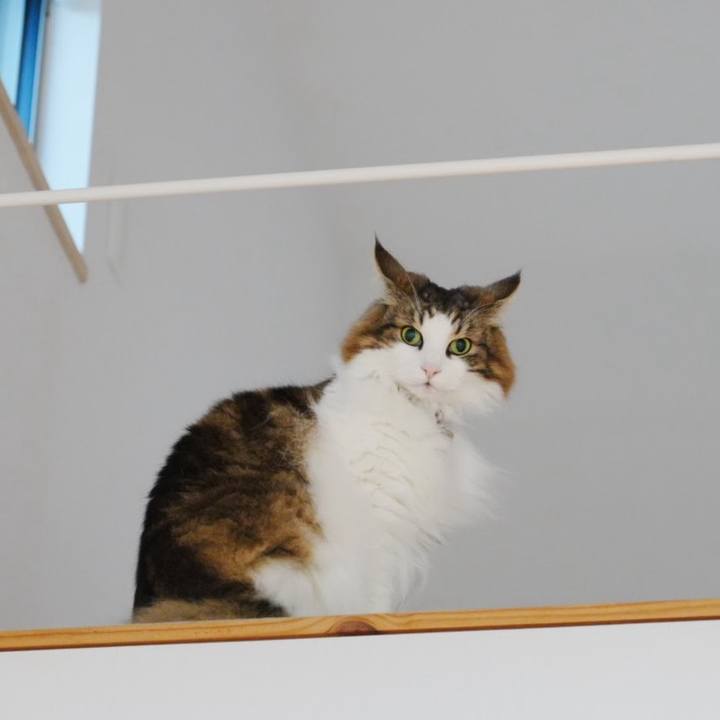 8f20293d cdd2 4652 93d3 25a01051158c 1705138692454