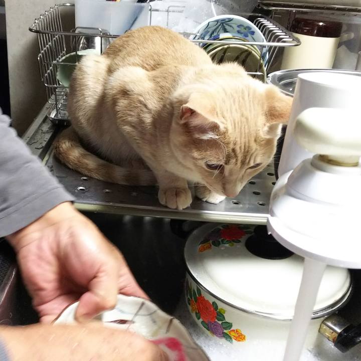 8f2050da fec8 4128 9b1e ec9cf41e206e 1546509012822