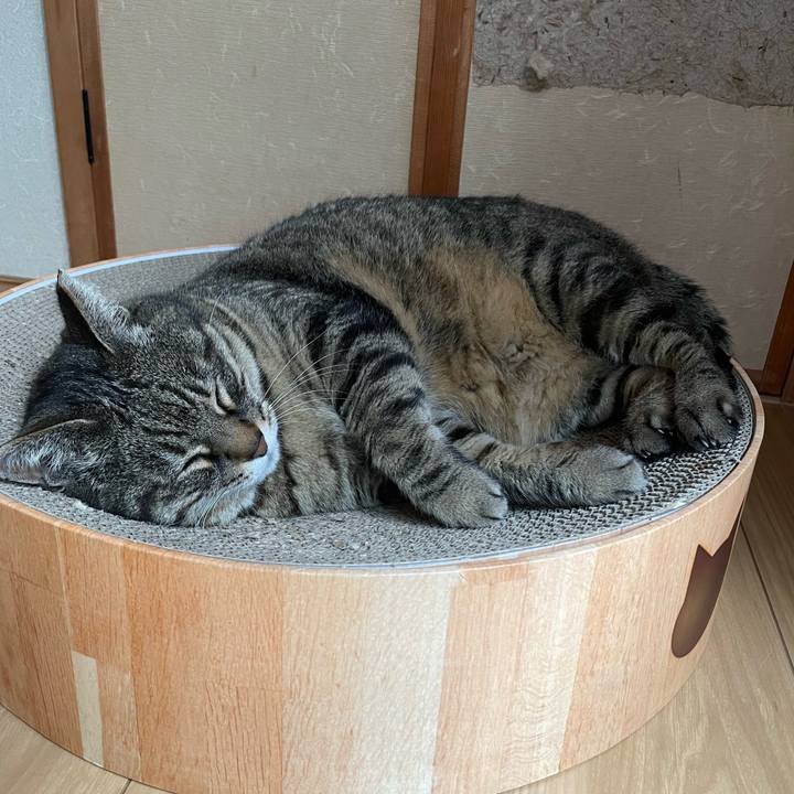 8f208878 68a6 4dcc a96a bec461611386 1651482147365