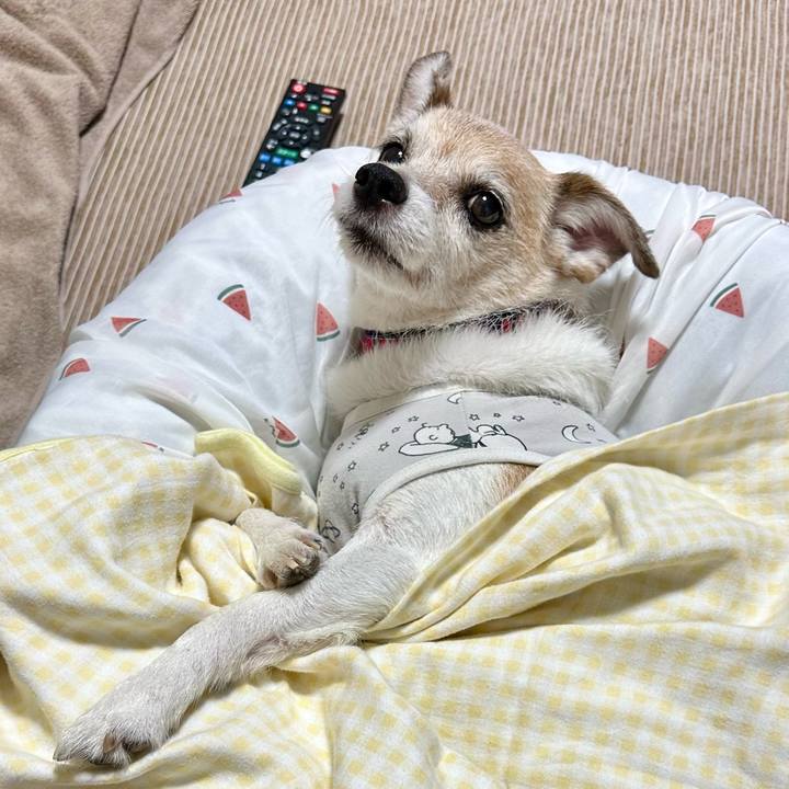 8f20a88f fefe 4bb1 84fc c6c1d6c9c2cf 1695733507503