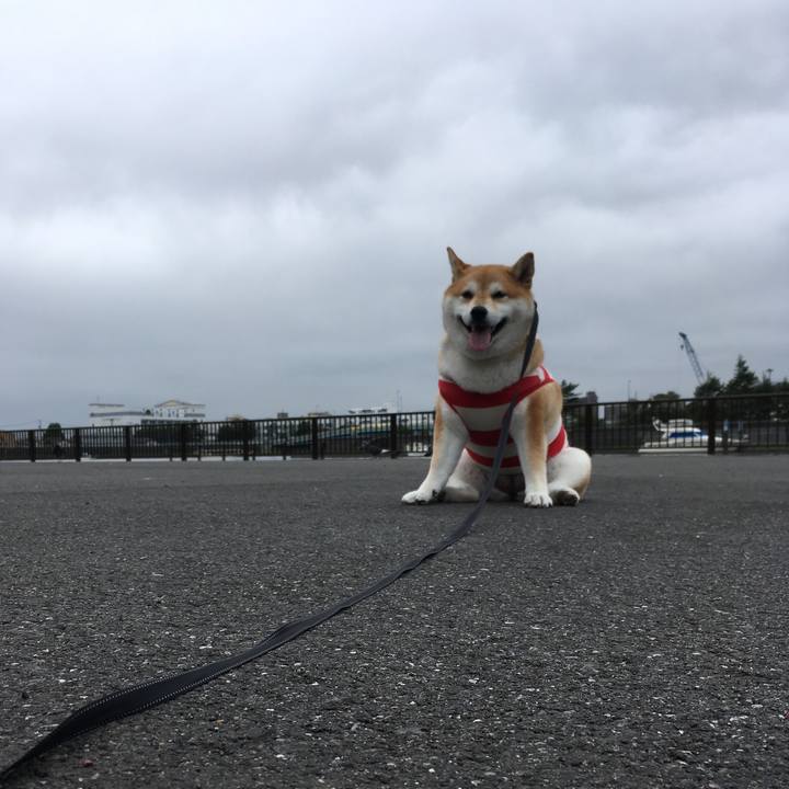 8f20bfca 4de9 45ce be9a 9b2c6fa2c30e 1567559165848