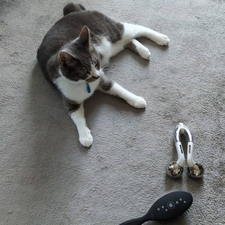 8f20dd54 a674 4648 956b 02180890ff45 1755662826481