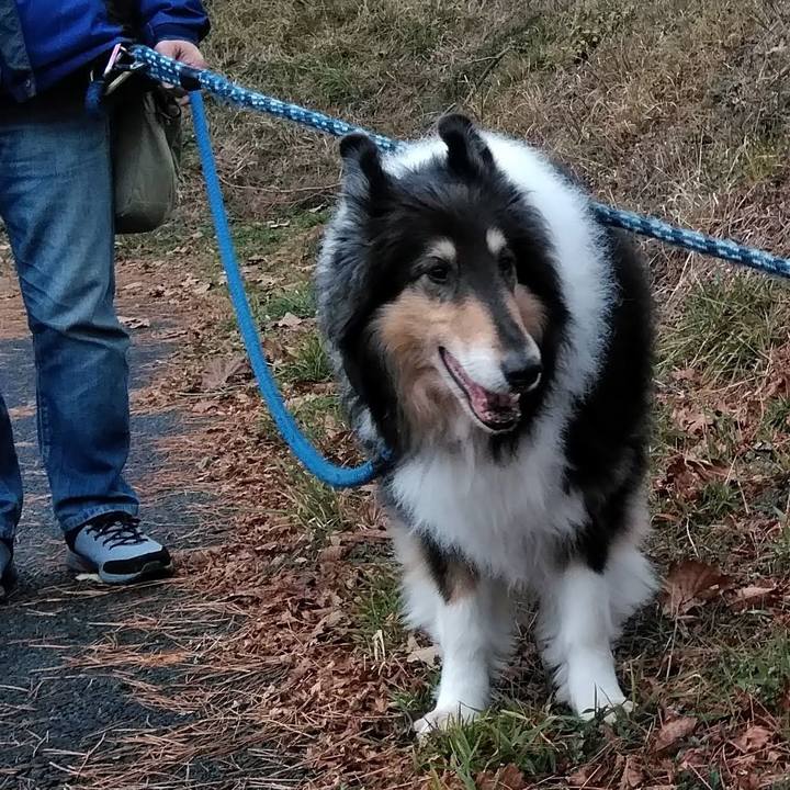 8f21196e 9a58 4b66 a709 32e5b6963447 1671870938994