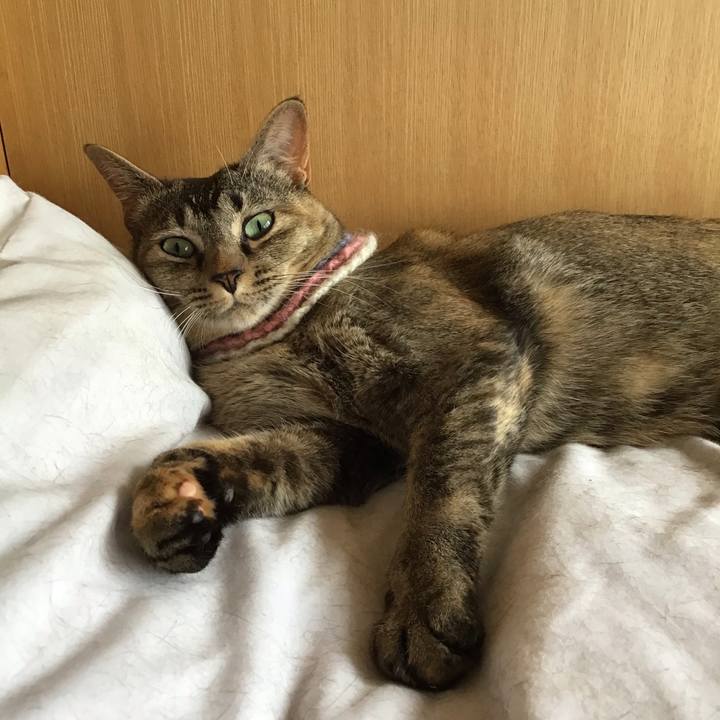 8f211df0 69d0 4eb1 81cb 080af930a448 1624765236808