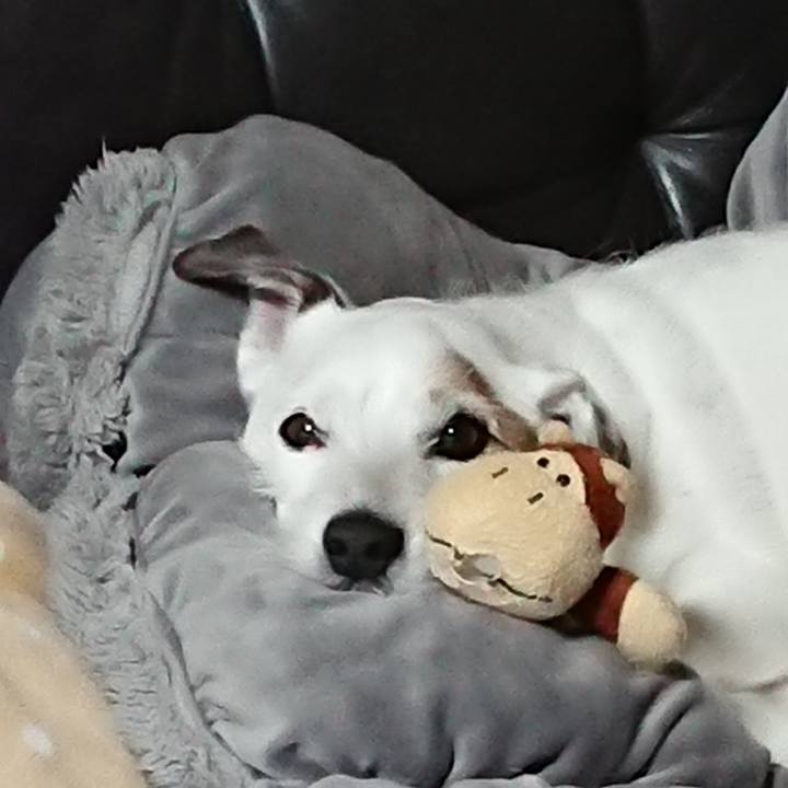 8f2149ef 69d6 4929 acb0 b555bf884158 1526690399287