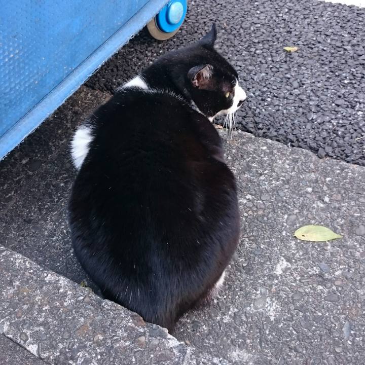 8f215bbf 1396 4cca 8d6e b80b00ab10a0 1514008636571