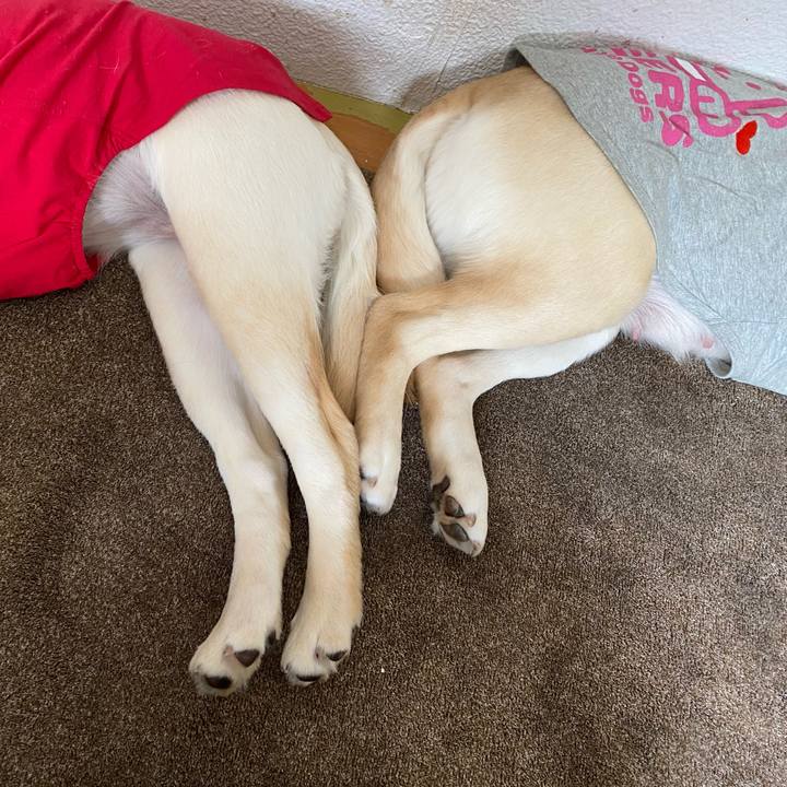 8f217dfd 1f4d 48bf becf f706f5624aee 1618366621349