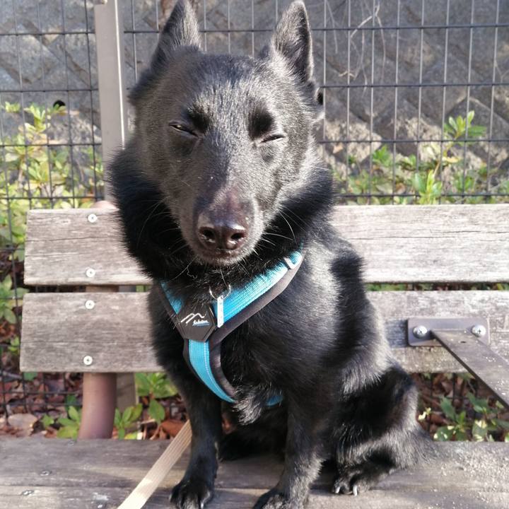 8f218b56 5e48 4a47 b940 359918a63a3c 1647382640275