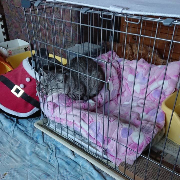 8f21d608 9587 4d99 bcd6 a2a32f449ced 1557748100938