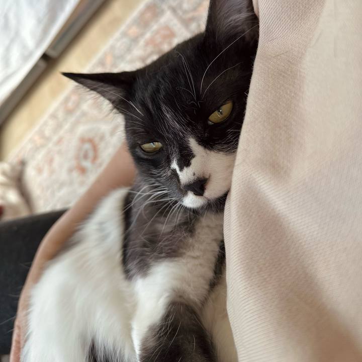 8f21f2f5 1ce0 49cb 8eb4 d62c711c63fe 1775622233697