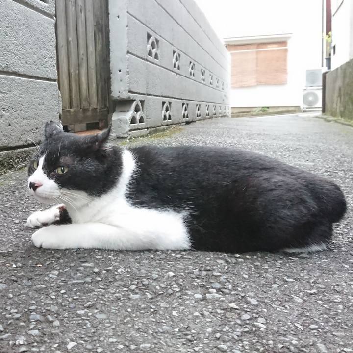 8f21fc03 a48b 4046 8aca d2bd296c36d3 1597223001216