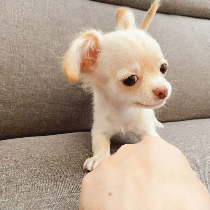 8f2238e1 355c 4f9d 83e1 247e2880fec1 1591307810600