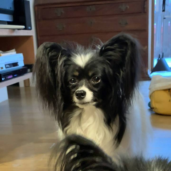 8f2239b0 fa2a 41b4 a457 1307630115e4 1550009996719