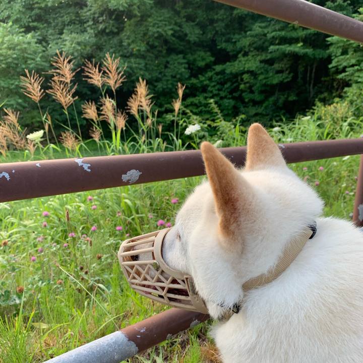 8f22435e 7e5c 45ed a05b 6351d839fc5f 1564780760993