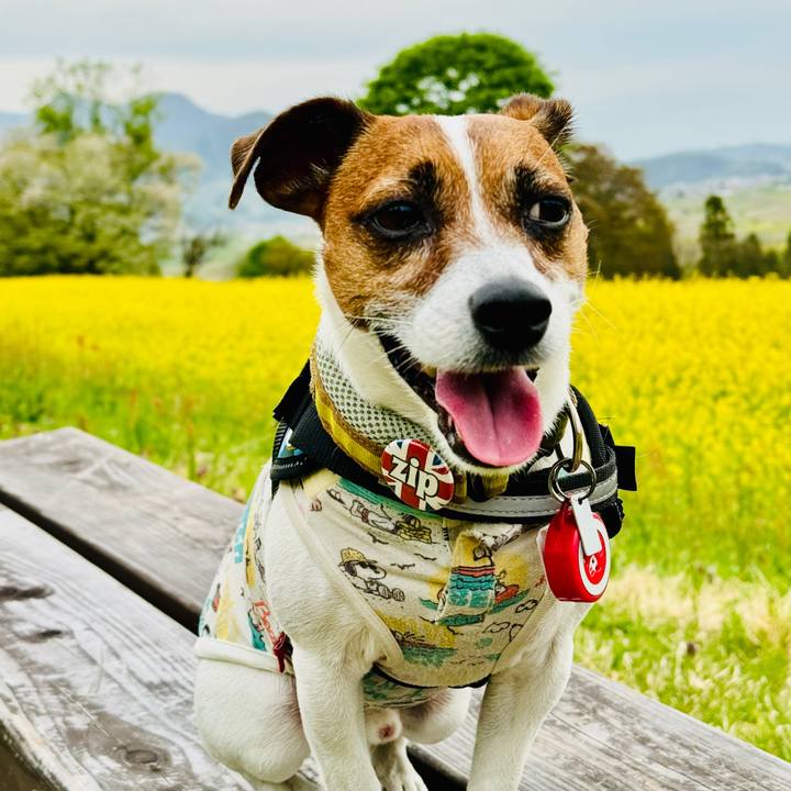 8f227b01 99ed 45ca b3be 77dc2969a67f 1740639862623