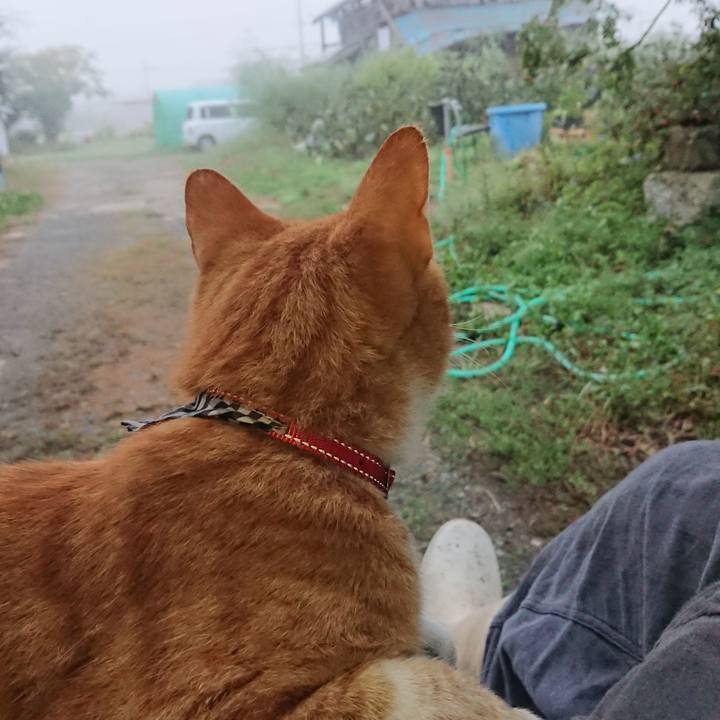 8f22a59a 798c 48b4 8c0b 14458612f46e 1569789644512