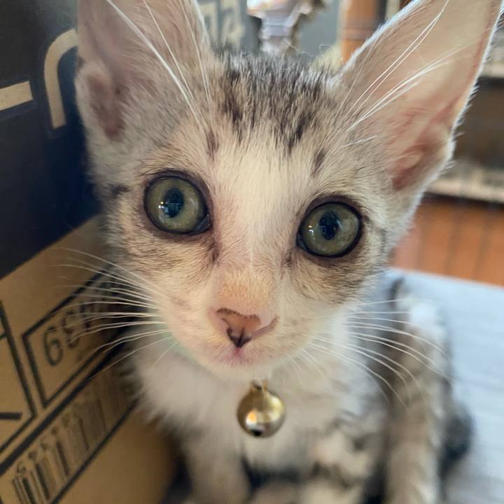 8f22c598 aa7f 42f8 9961 5ee8e6bb40d7 1718701247151