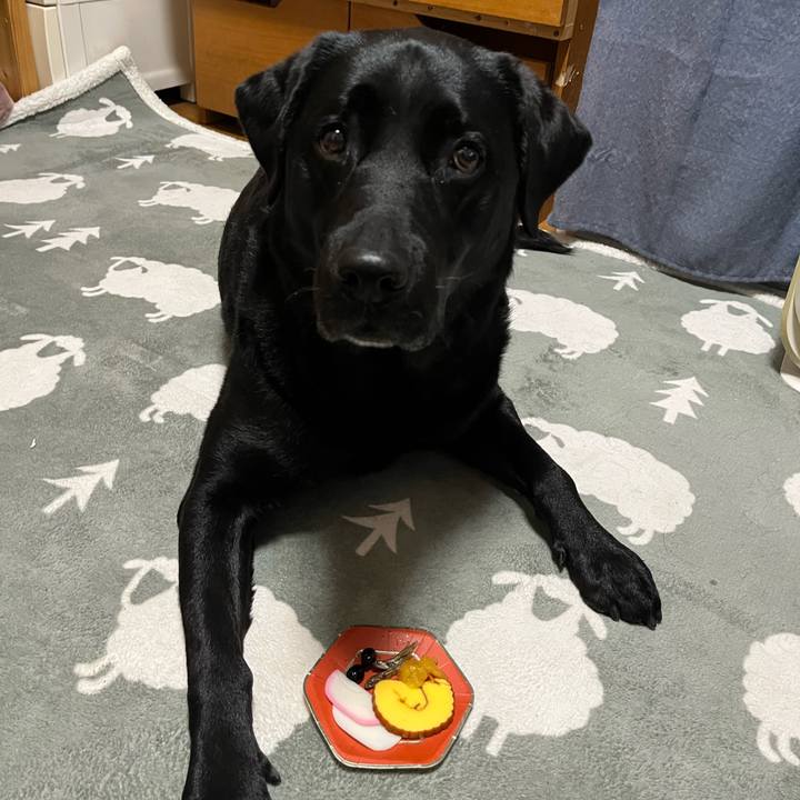 8f22dbec 4152 4655 9897 469ec0644457 1767244162460