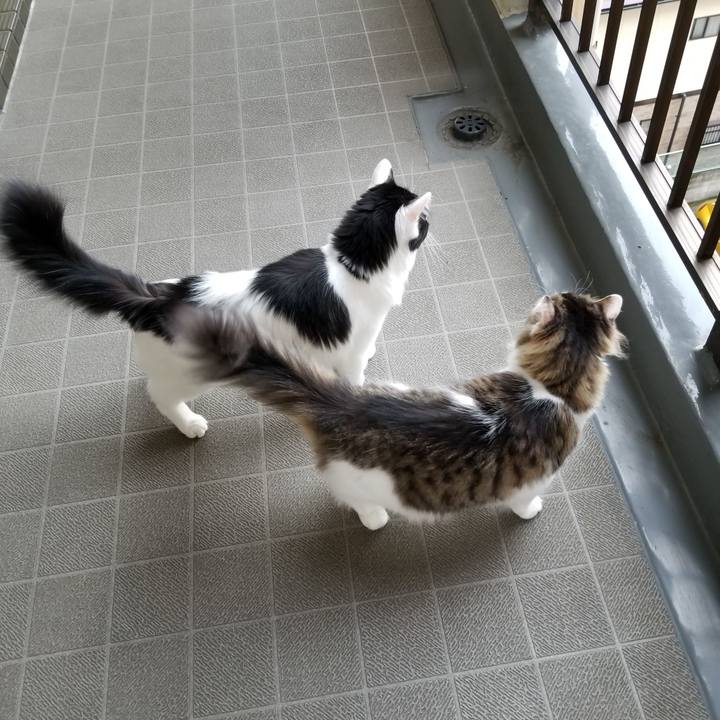 8f2346f6 7dc5 46d6 8b6a c8b3c5a4202b 1535665272937