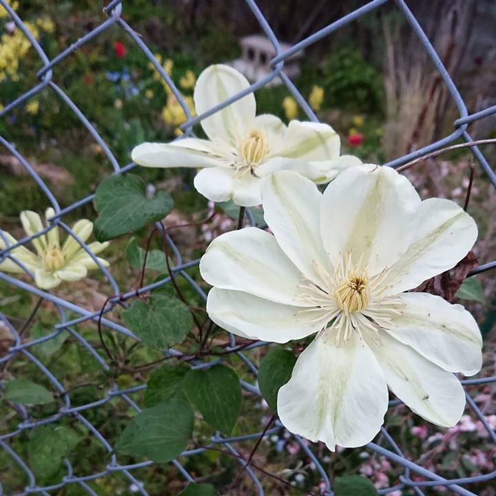 8f236381 d273 4823 961b f22d136d1099 1617350958983