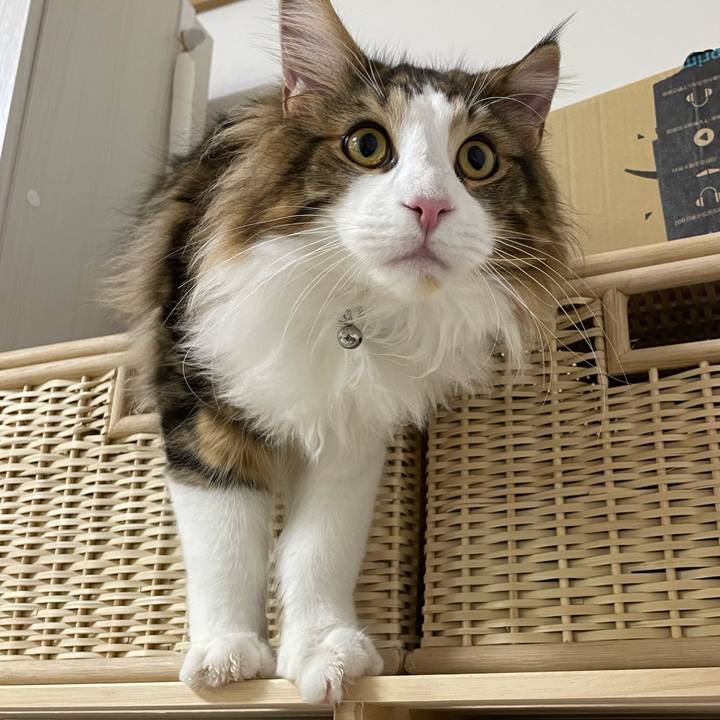 8f238b1a dae0 47e6 968f 351697818aa1 1645994924650