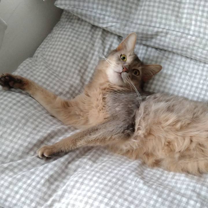 8f238b6f 48fb 4396 b5dd ed8599263c09 1624168861274